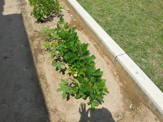 20120727_132519.jpg